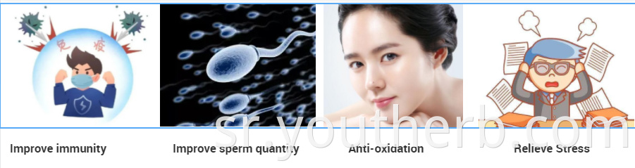 is ashwagandha root powder safe